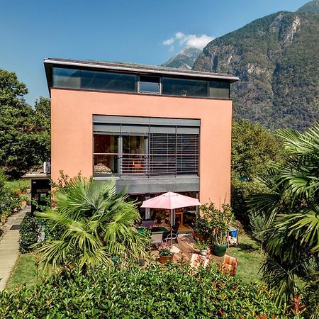 Apartamento Splendido Attico Per Chi Ama Escursioni Nella Natura Grono Exterior foto